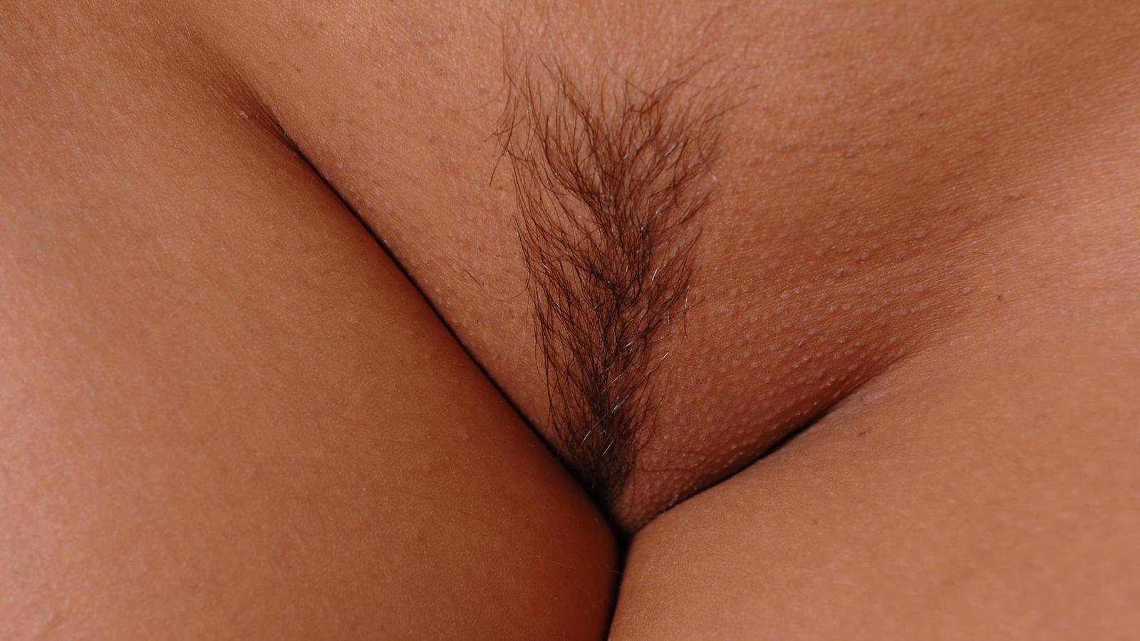 eve angel, trimmed pussy, trimmed, tanned