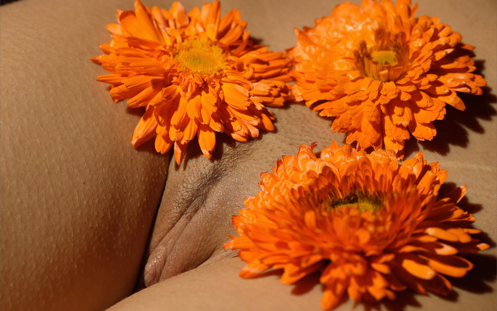 nata, sexy, girl, nude, naked, pussy, labia, flower, closeup, trimmed, clit, sexy plum, juicy, beauty, hot, hamburger pussy, landing strip, plump pussy