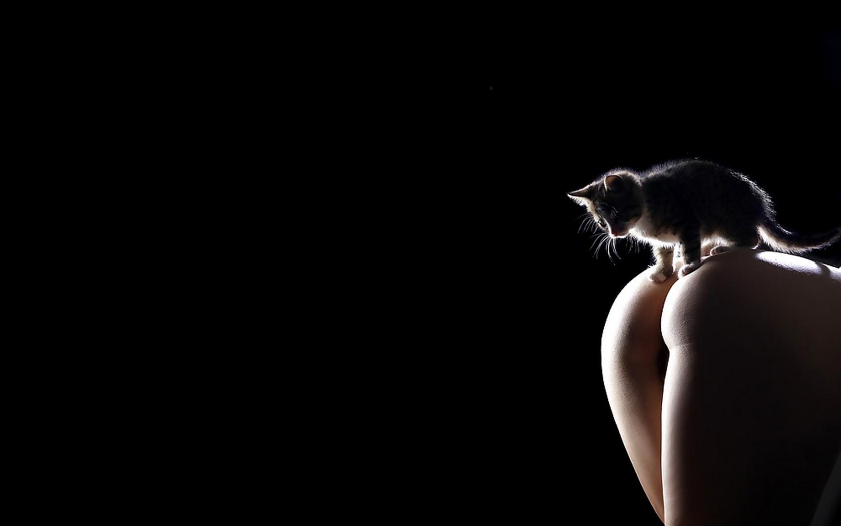 erotic, sexy, nude, hot, ass, kitty