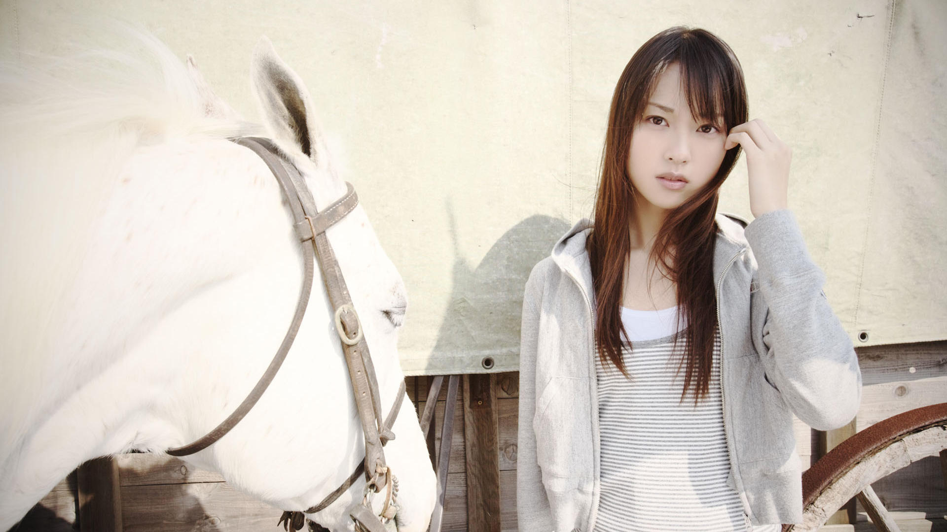 asian, horse, sexy, brunette