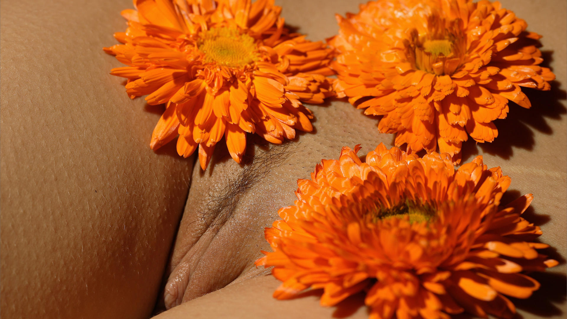 nata, sexy, girl, nude, naked, pussy, labia, flower, closeup, trimmed, clit, sexy plum, juicy, beauty, hot, hamburger pussy, landing strip, plump pussy