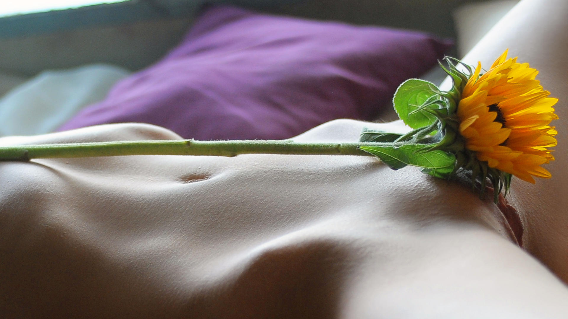 berenice, sexy girl, adult model, nude, naked, shaved pussy, pussy, flower, belly